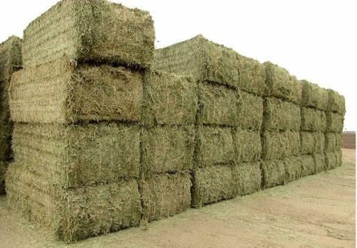 تصویر 2 از خرید و قیمت خوراک دام یزد + فروش عمده